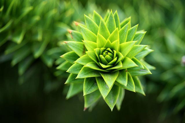 批量发送短信的平台